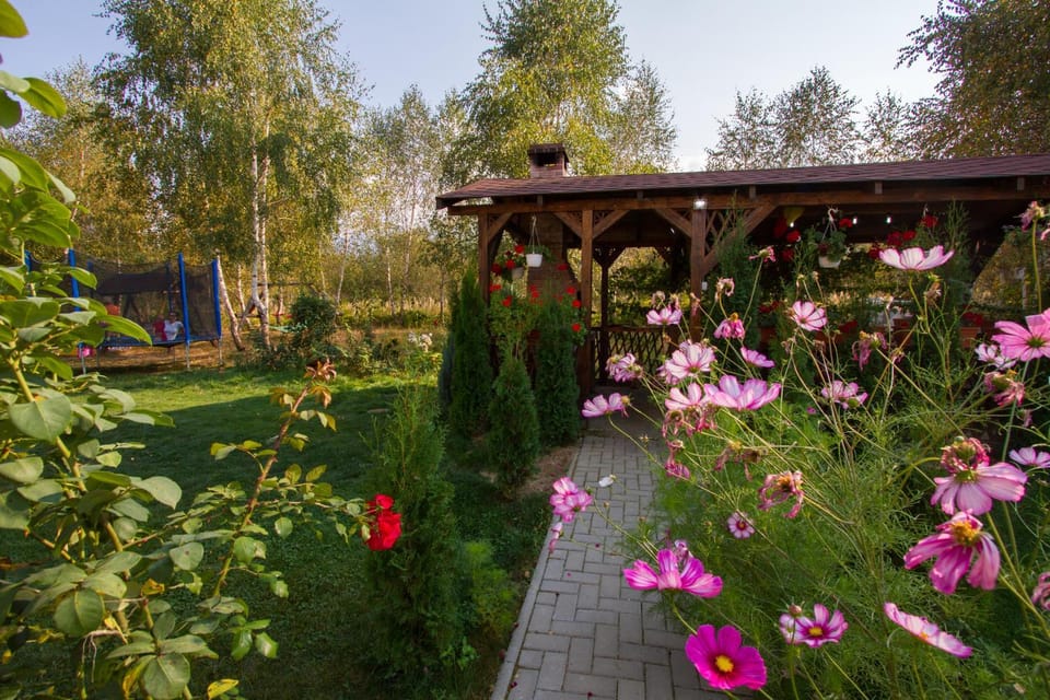 Royal Hotel Bed and Breakfast in Brașov County