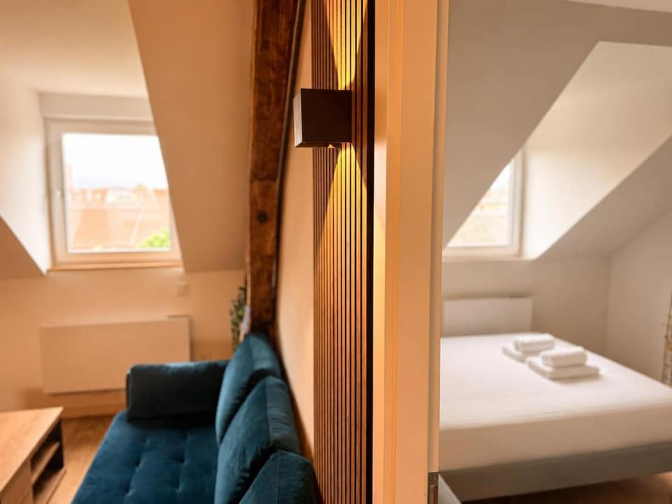 Loft premium Victor Hugo - Centre Belfort - Techn'hom Apartment in Bourgogne-Franche-Comté