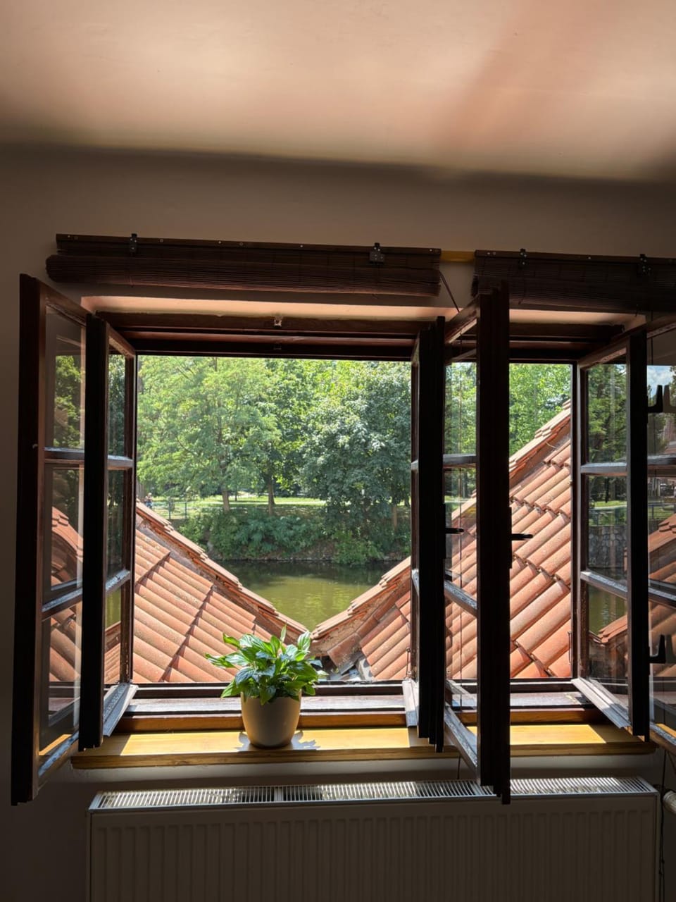 View (from property/room)