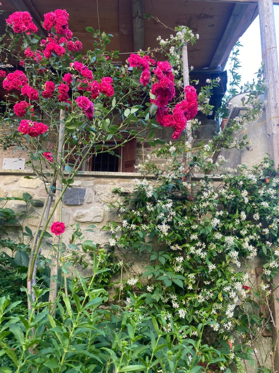 Il Bagatto B&B Bed and Breakfast in Emilia-Romagna