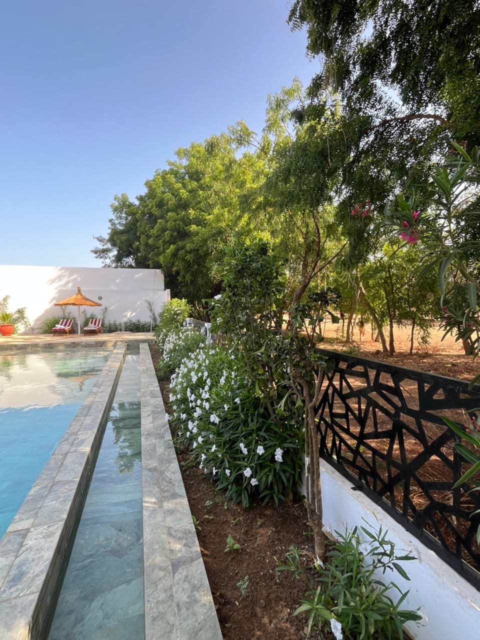 Villa Niofar - Golf, Spa, Piscine privée & plage à 5mn Villa in Saly