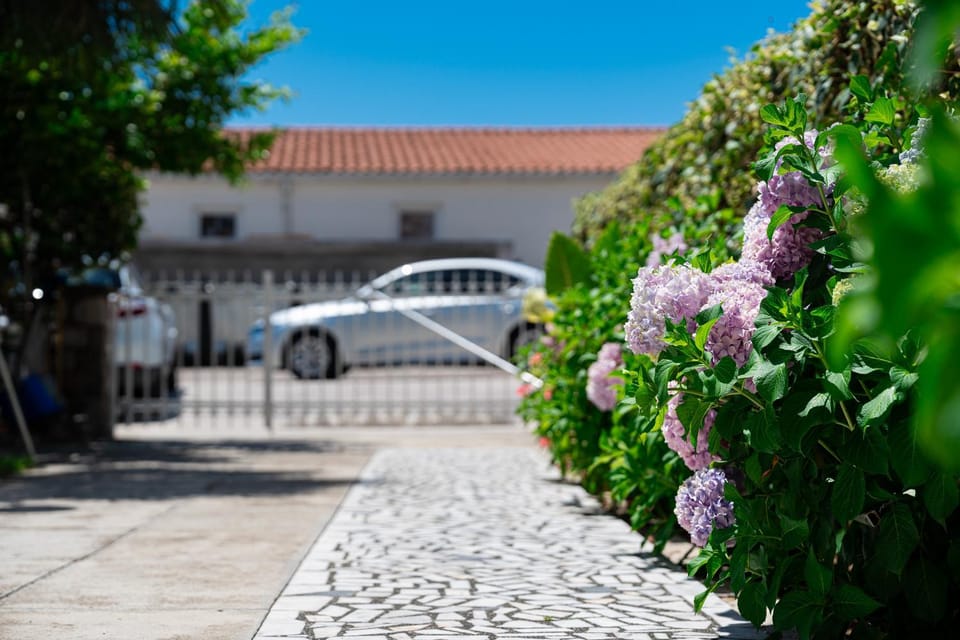 Day, Garden, Garden view, Parking