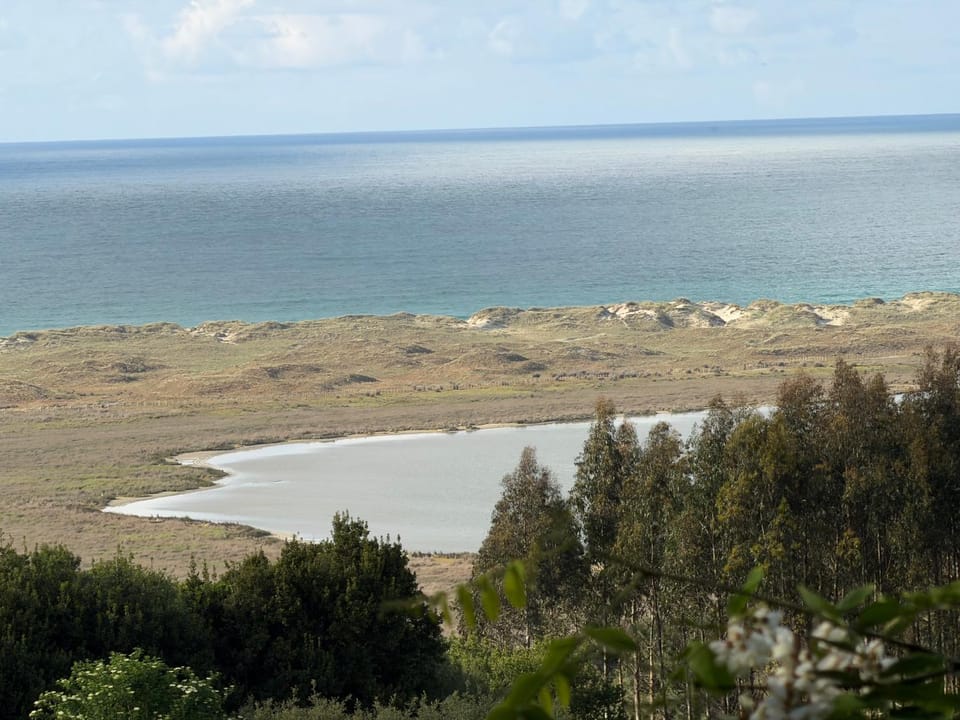 Lake view