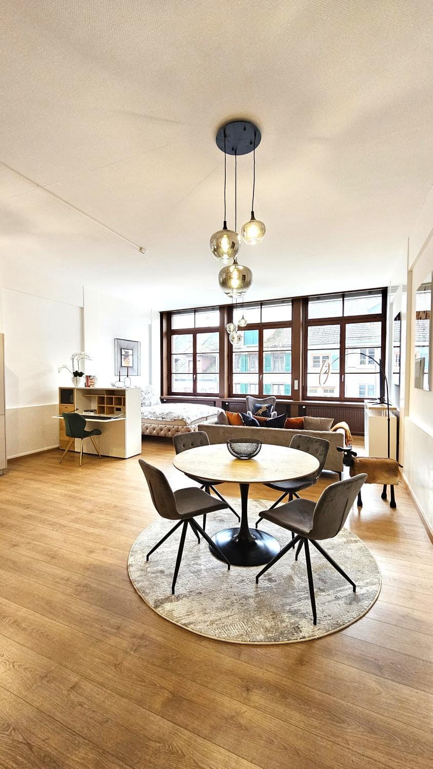 Loft Apartment in der Innenstadt Waldshut Apartment in Baden-Württemberg