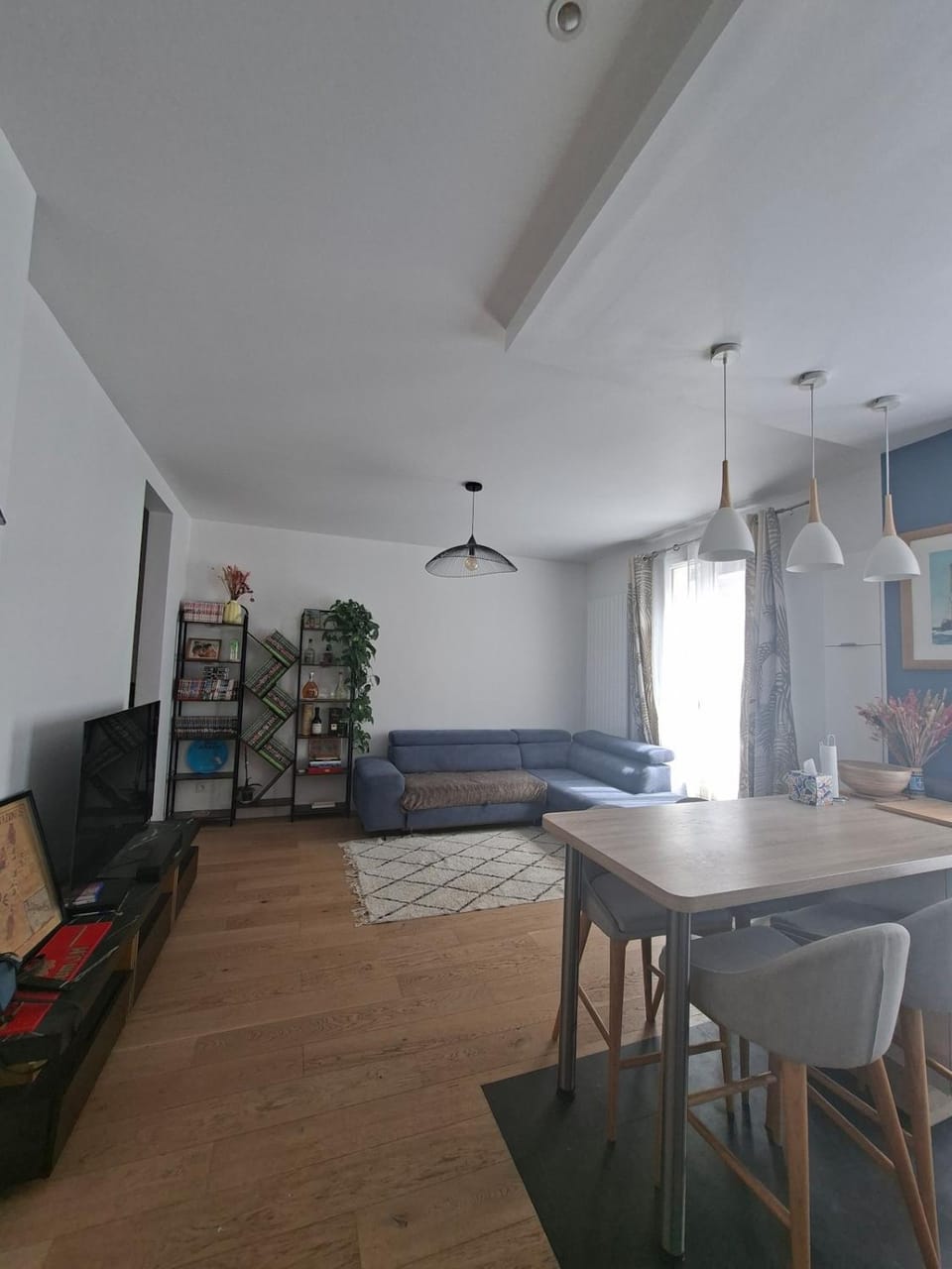 Large Parisian apartment Apartment in Paris