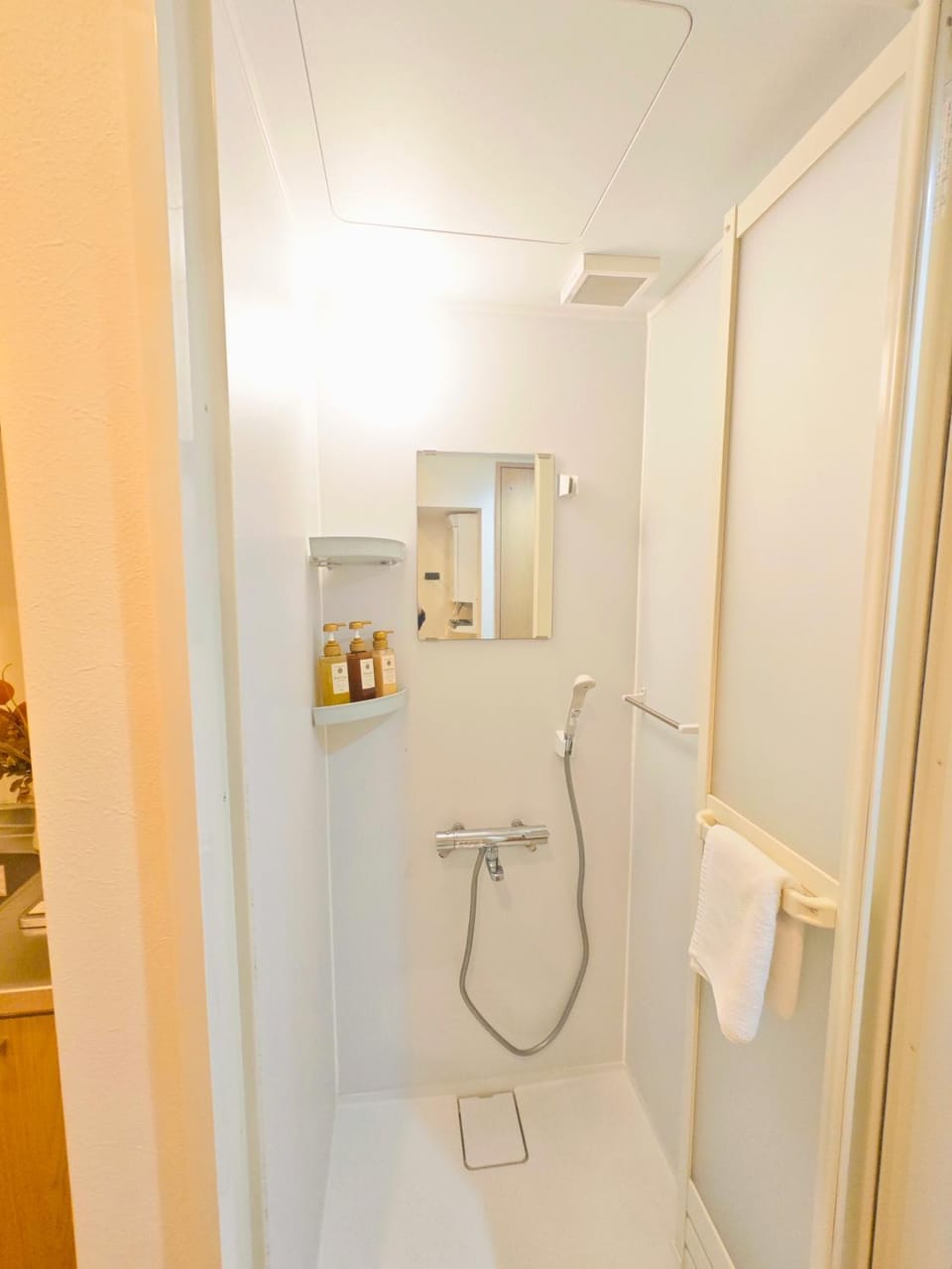 Shower, Bathroom, towels