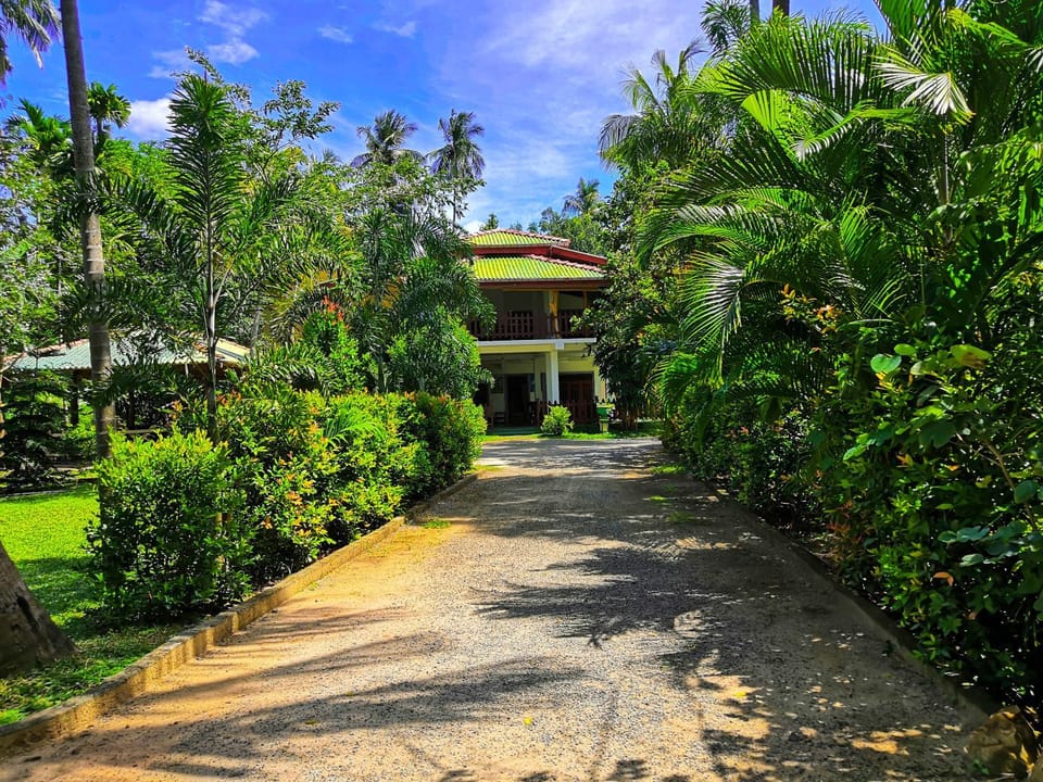 Garden view