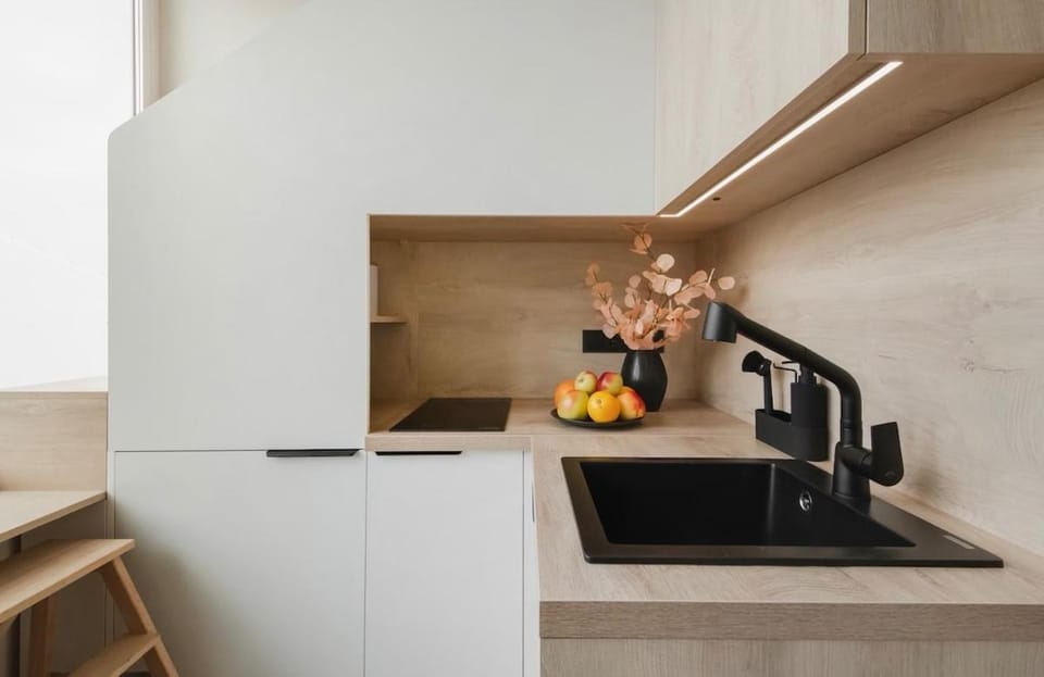 Cosy apartment Apartment in Vilnius