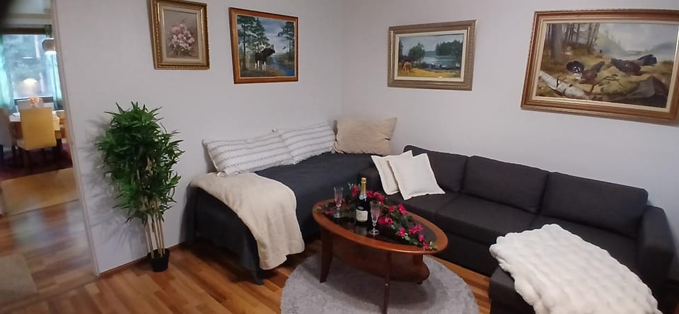 Saimaa Parkview Luxury Suite Apartment in Finland