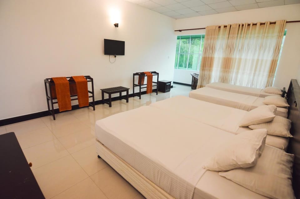 Bed, TV and multimedia, Photo of the whole room