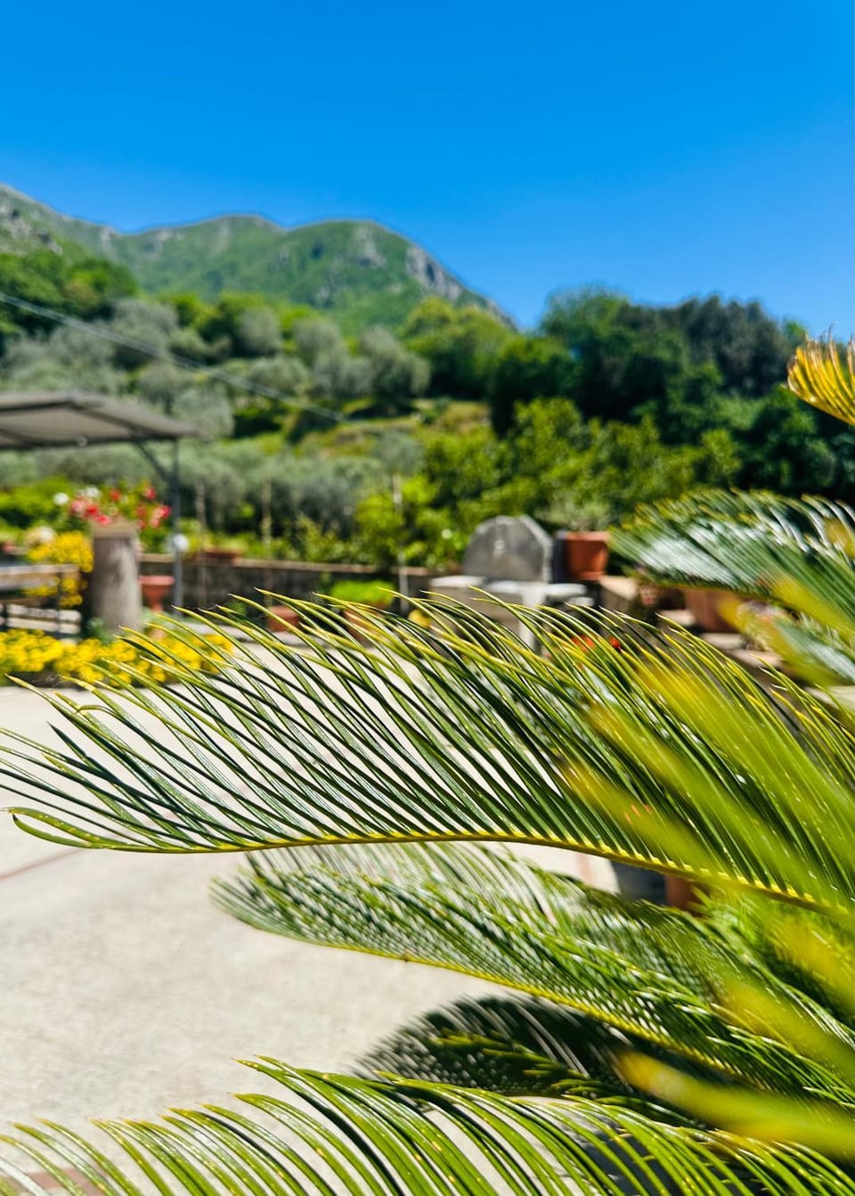 Azienda Agrituristica Marenna Bed and Breakfast in Campania