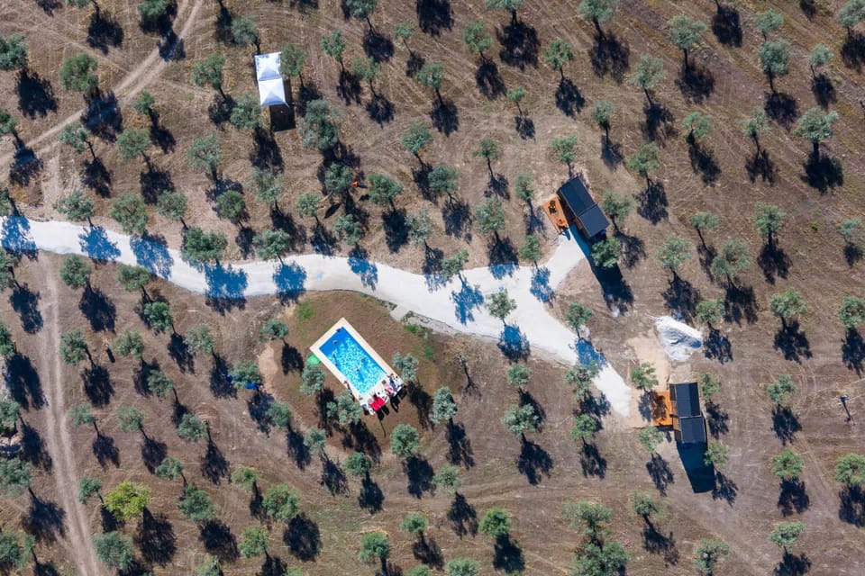 Refugio do Olival by Tiny Away House in Vila Real District