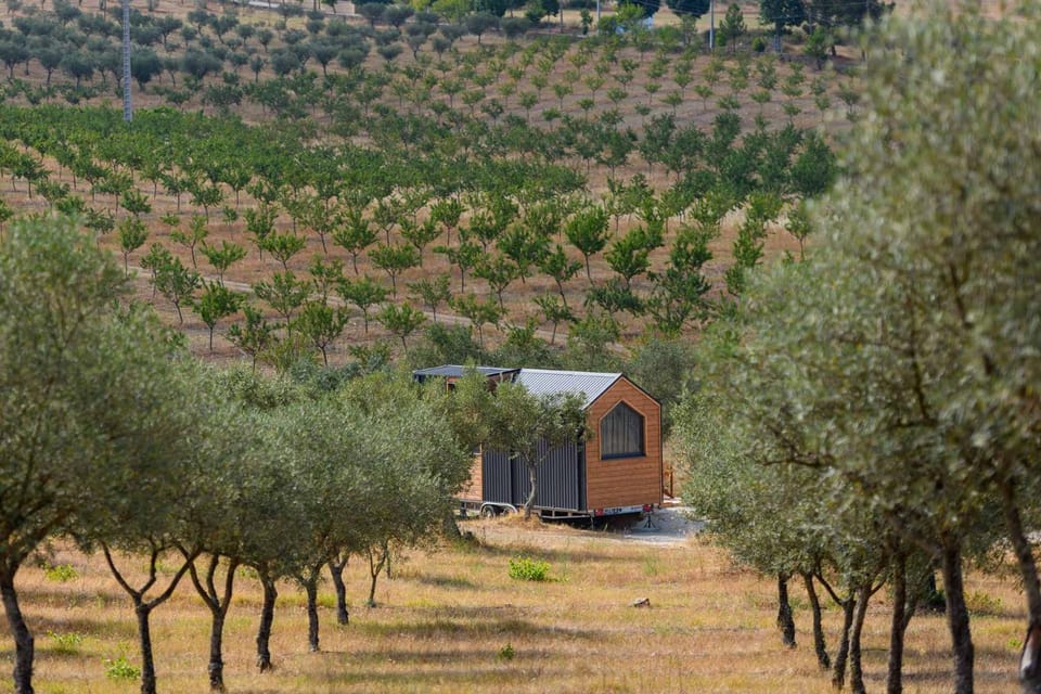 Refugio do Olival by Tiny Away House in Vila Real District