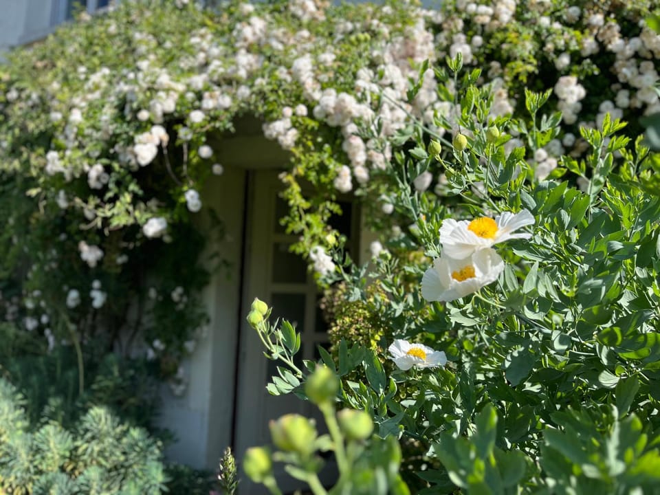 La chambre de la grenouille Bed and Breakfast in Giverny