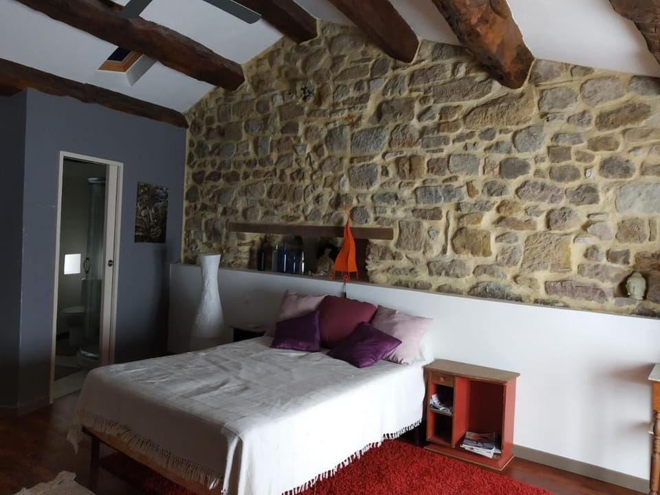Village house 8 beds House in Occitanie