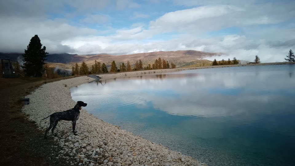 Lake view