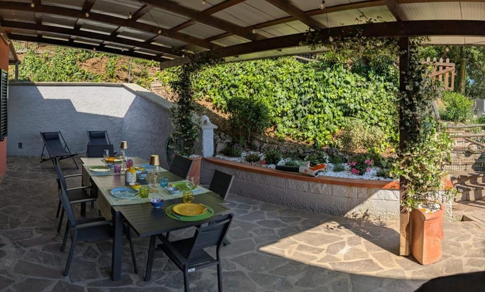 Patio, Dining area