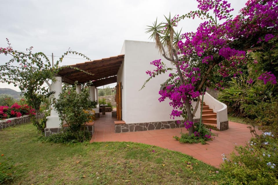 Property building, Garden, Garden view