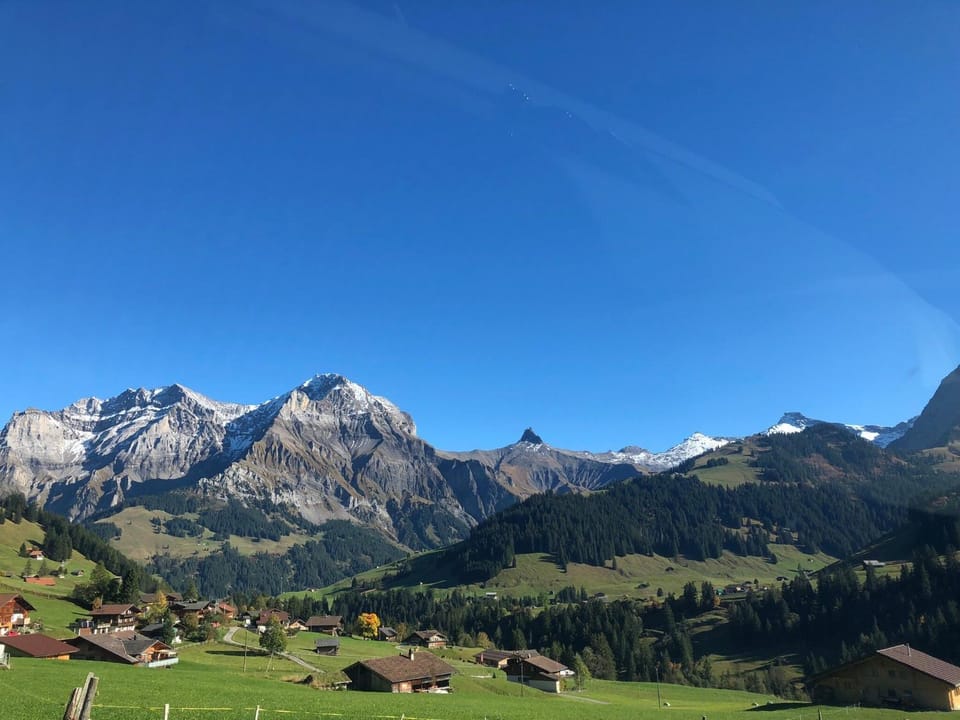 Schermtanne Kulinarik und Wohnen Apartment in Adelboden