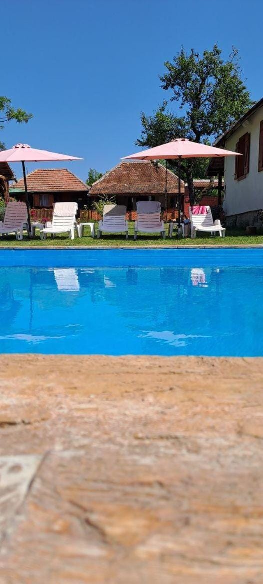 Mia Seosko imanje sa bazenom Vacation rental in Serbia