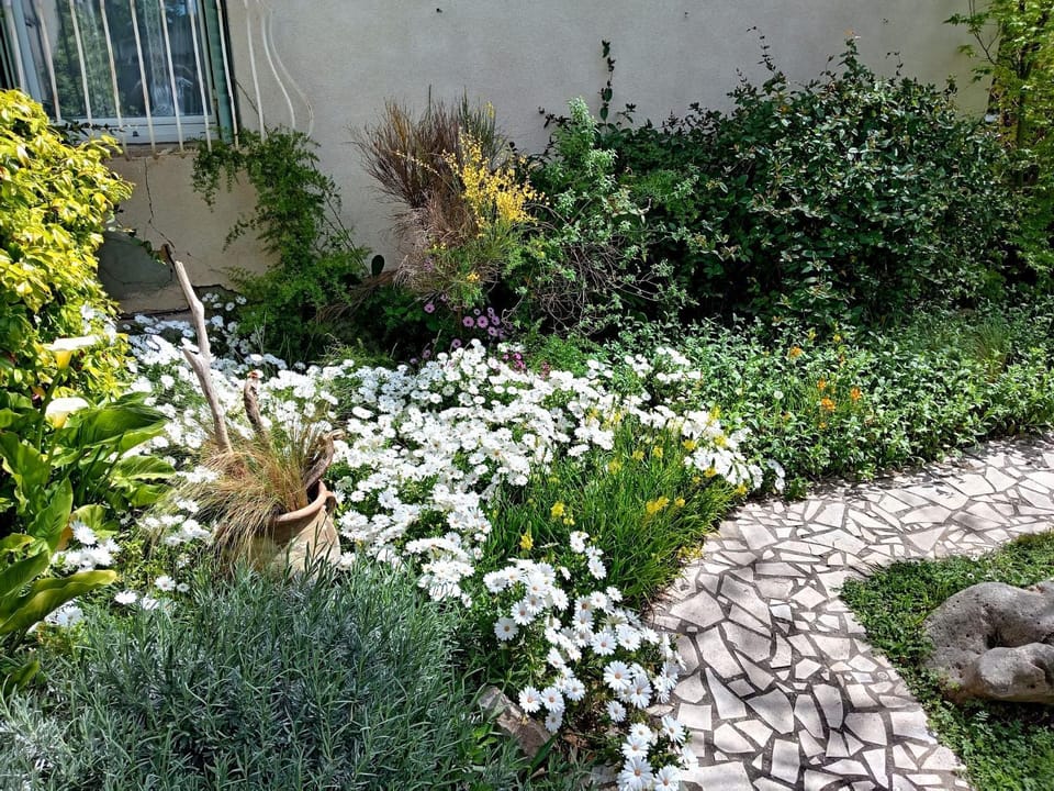 Maison de vacances chez Tine House in Provence-Alpes-Côte d'Azur