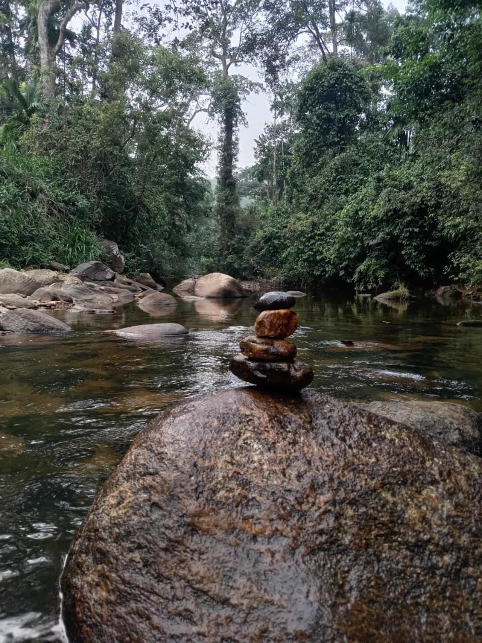 River view, Swimming pool