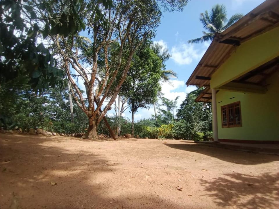 Natural landscape, Garden