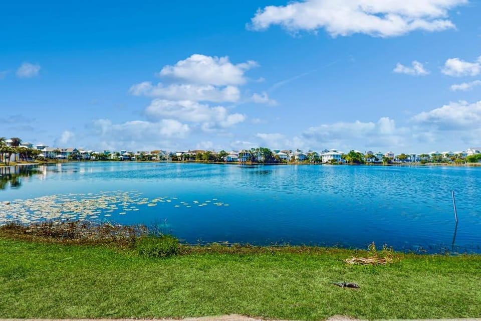 Gorgeous coastal home with plenty of space shared pool and easy beach access House in Carillon Beach