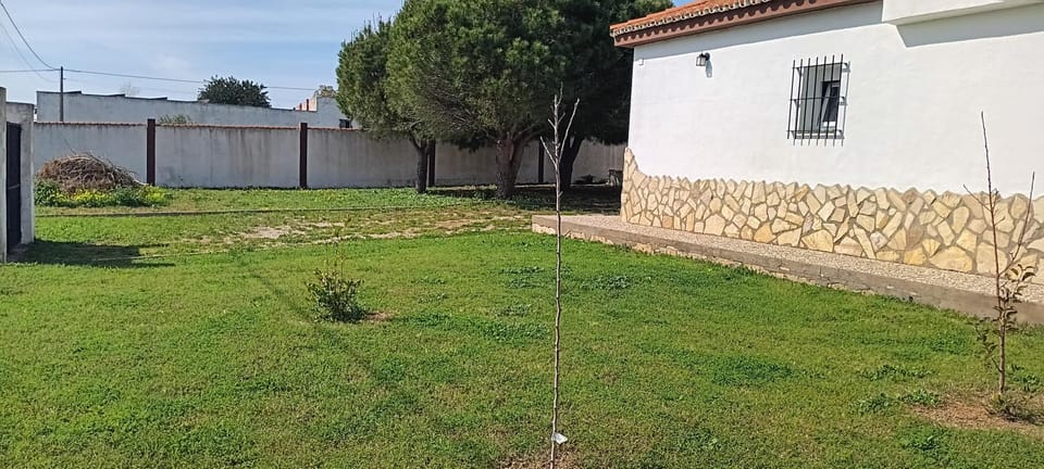 Catalpa House in Chiclana de la Frontera