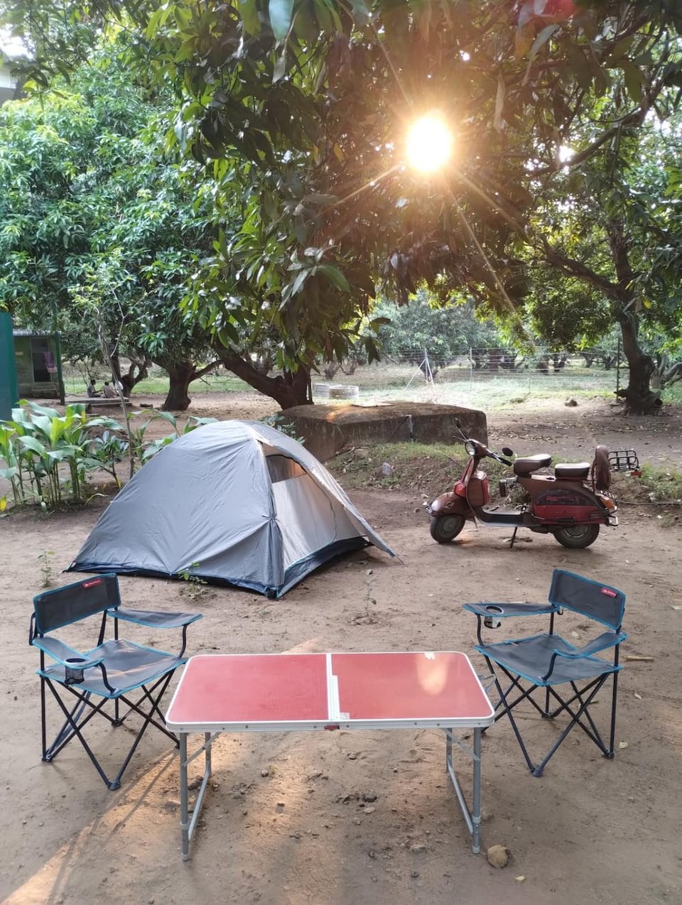 Jungle campers House in Tamil Nadu
