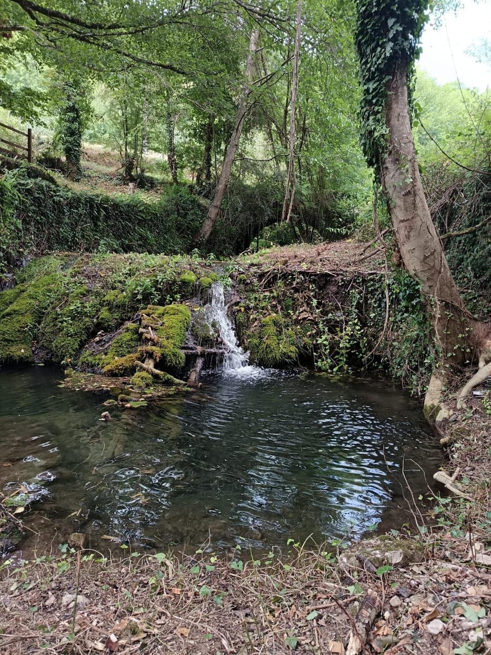 CHAMBRE D'HÔTE Confort Nature Ballades et rando Bed and Breakfast in Occitanie