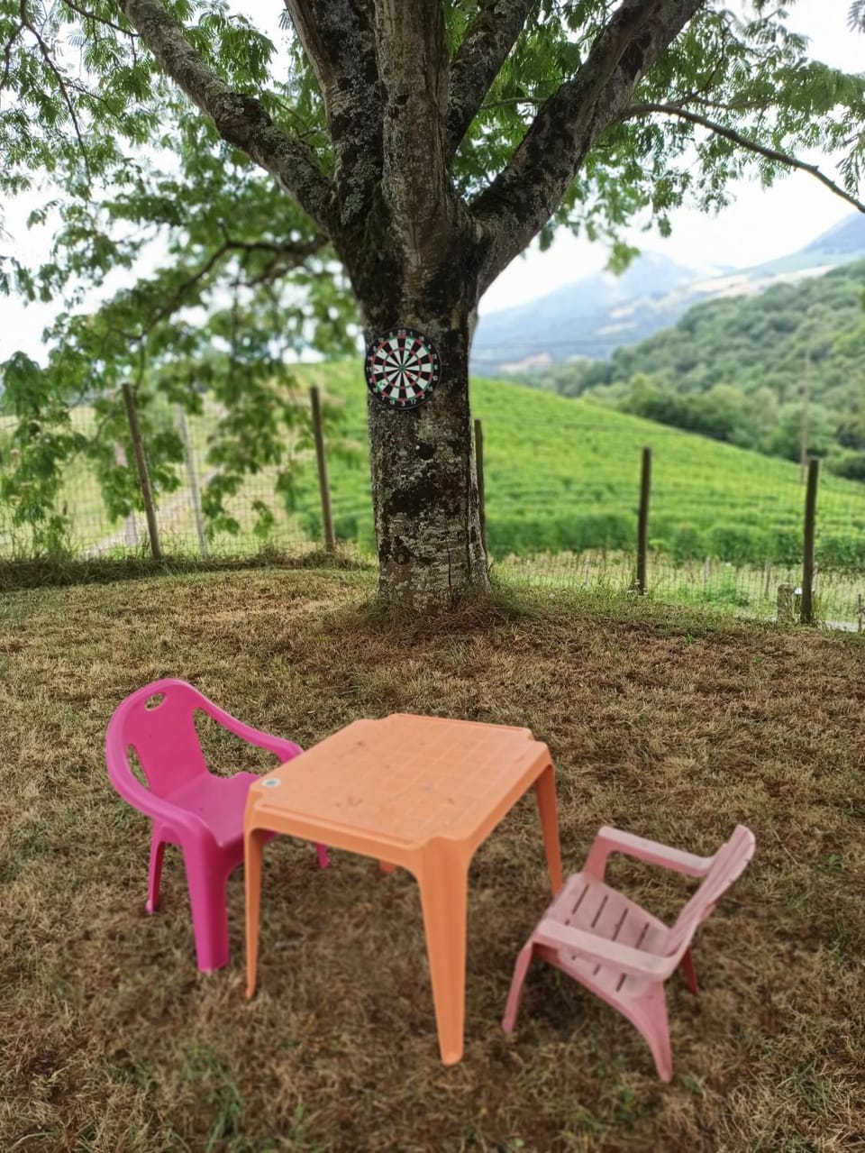Natural landscape, Garden, Garden view, Mountain view