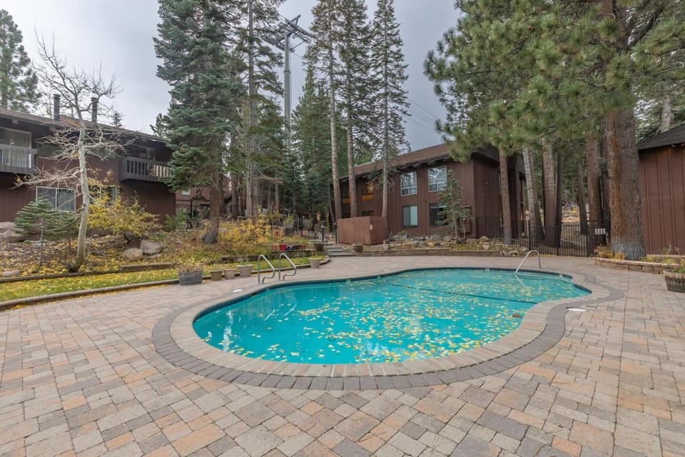 Pet Friendly Studio in Prime Village Location! Apartment in Mammoth Lakes