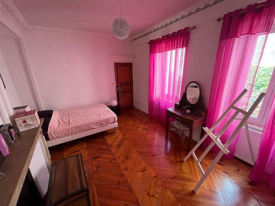 Bel appartement spacieux centre ville Apartment in Issoire
