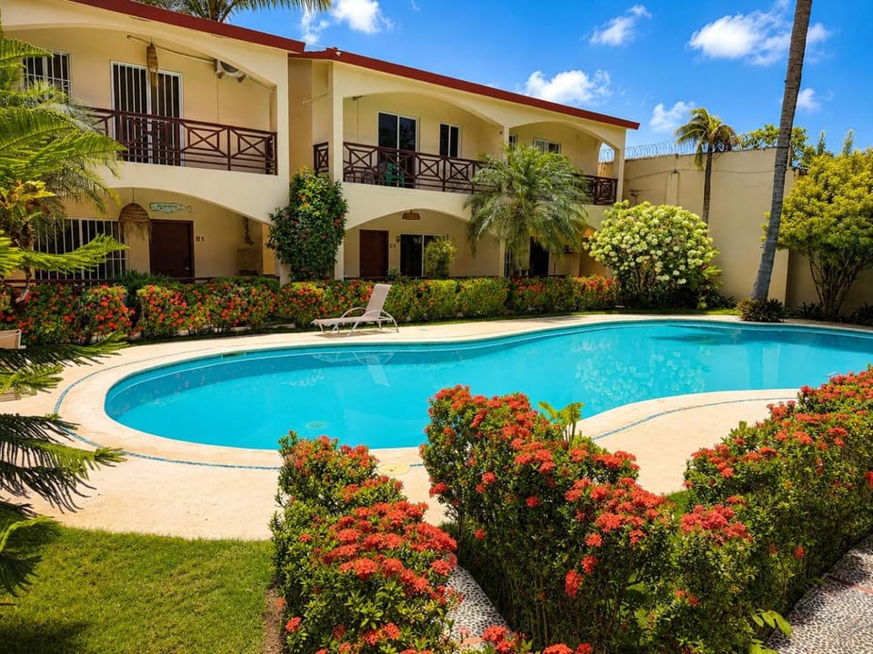 Property building, Garden, Garden view, Pool view, Swimming pool, sunbed