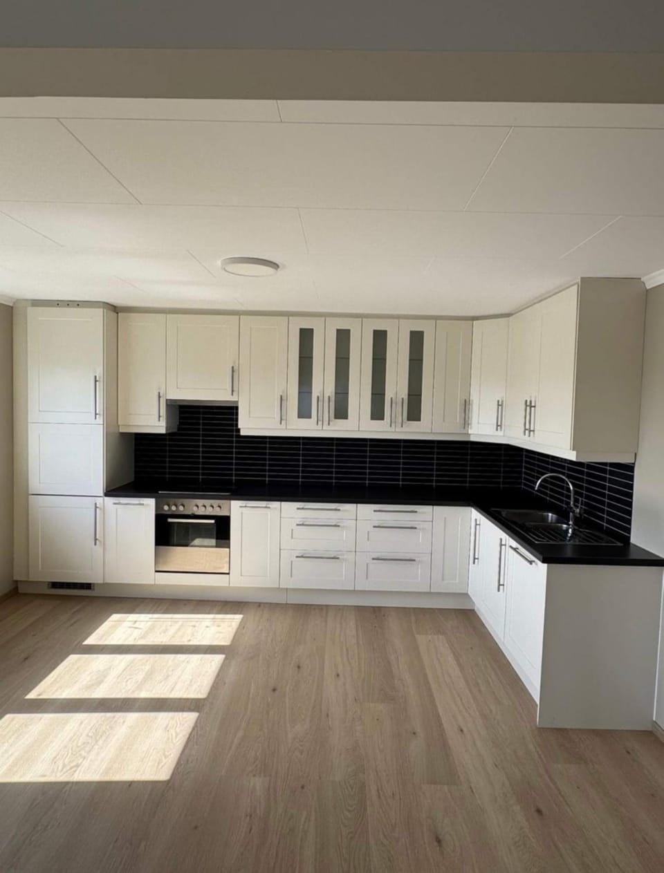 Kitchen or kitchenette, dishwasher, stove