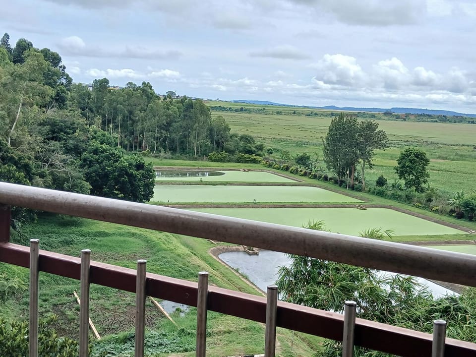 View (from property/room), Garden view