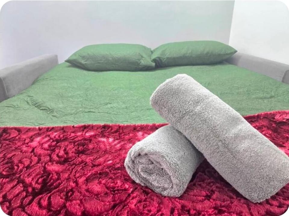 Double Room with attach Bathroom House in London