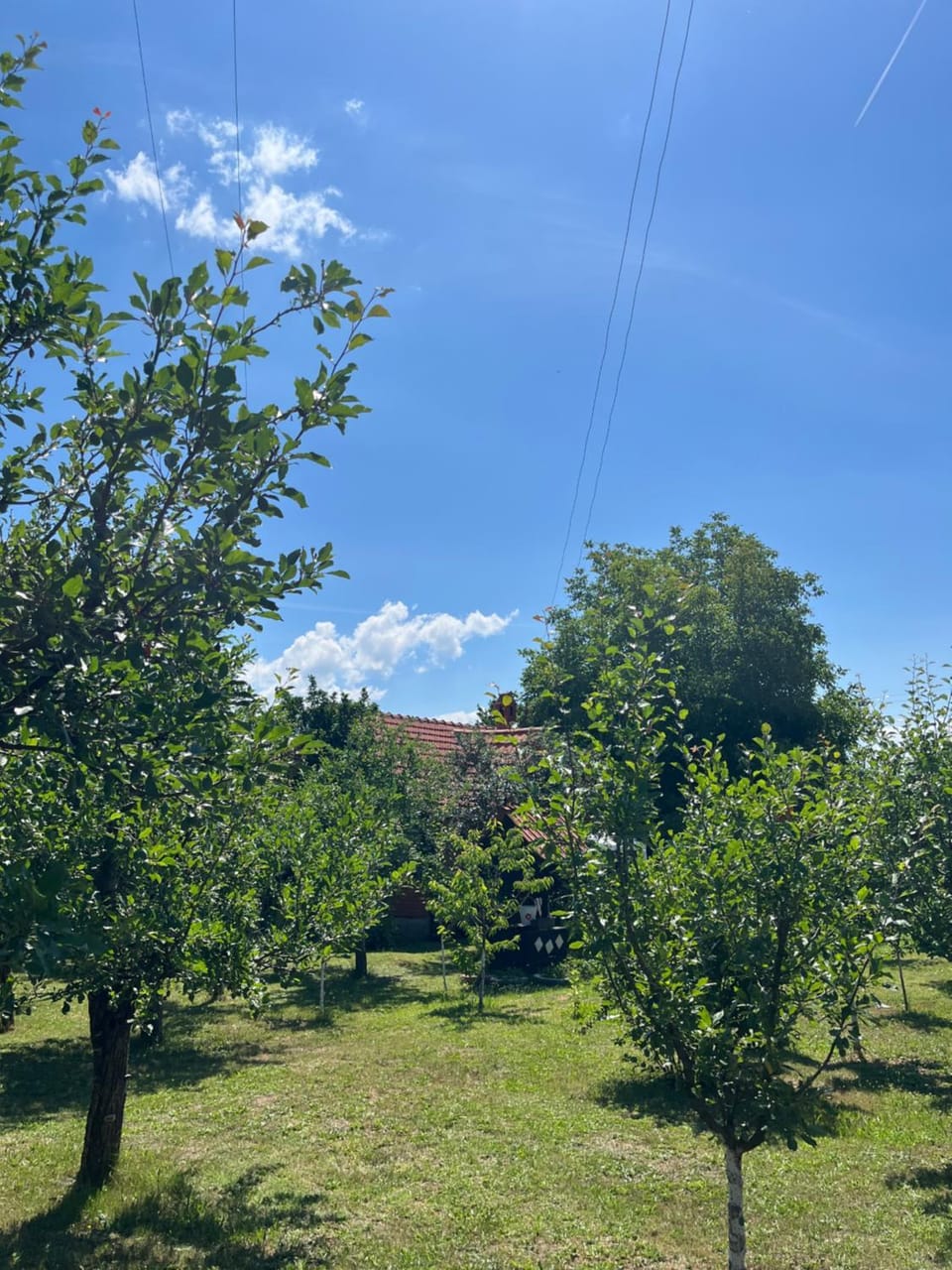 Garden, Garden view