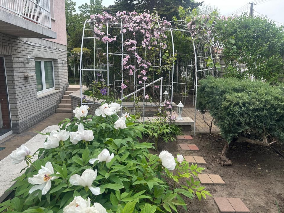 Apple guesthouse Bed and Breakfast in Budapest