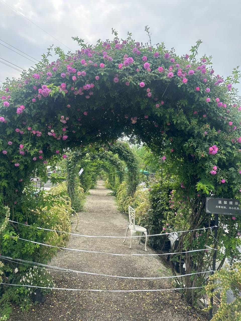 Apple guesthouse Bed and Breakfast in Budapest
