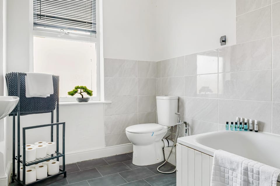 Shower, Toilet, Bathroom, Bath, towels