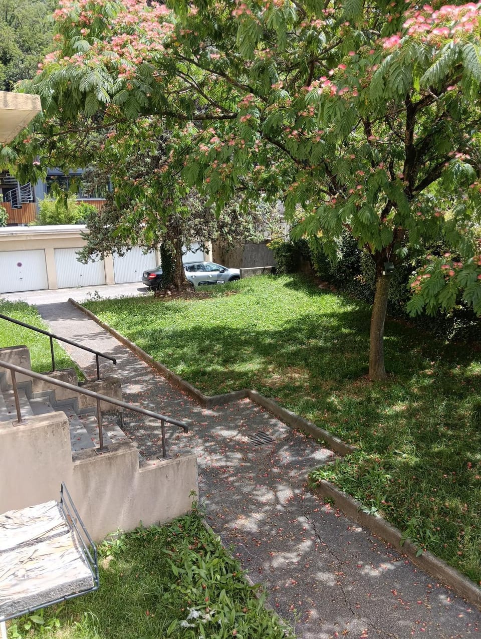 Garden view
