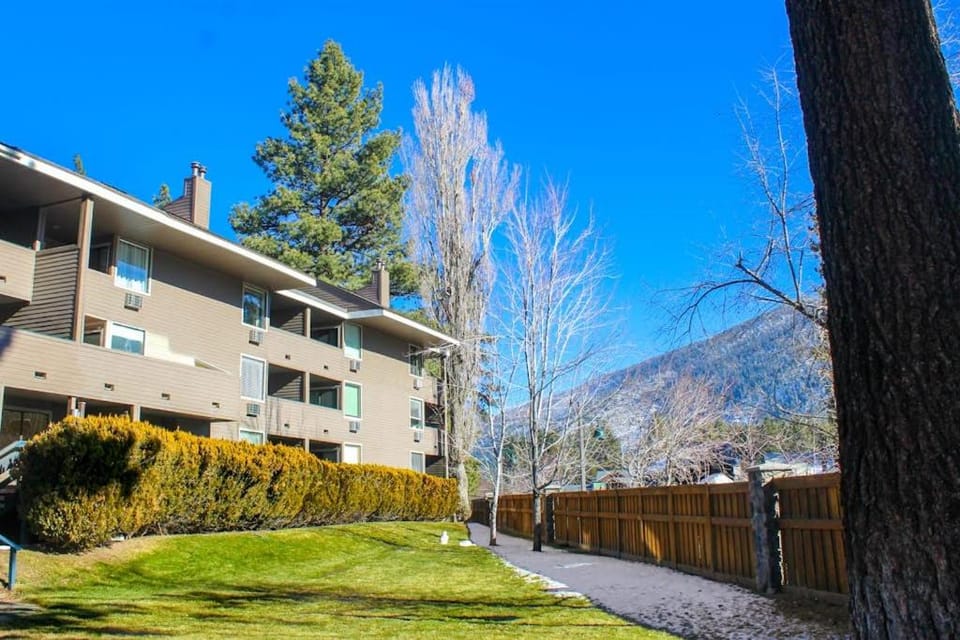 This location is hard to top with easy access to Heavenly & resort amenities Apartment in South Lake Tahoe