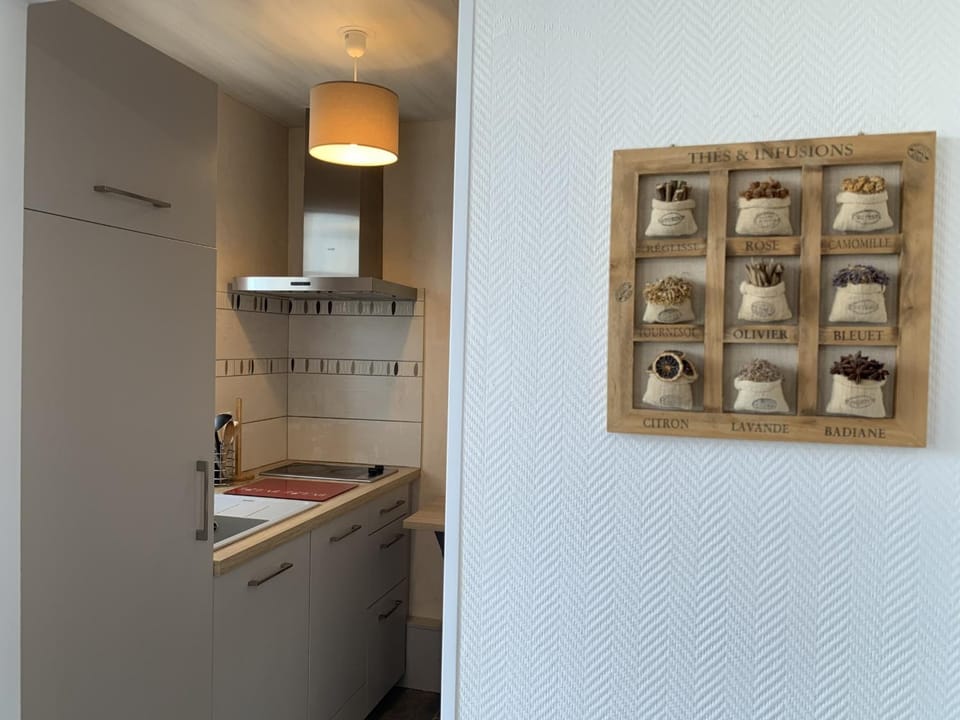 Bel appartement en centre-ville, WIFI - FR-1-541-205 Apartment in Nouvelle-Aquitaine
