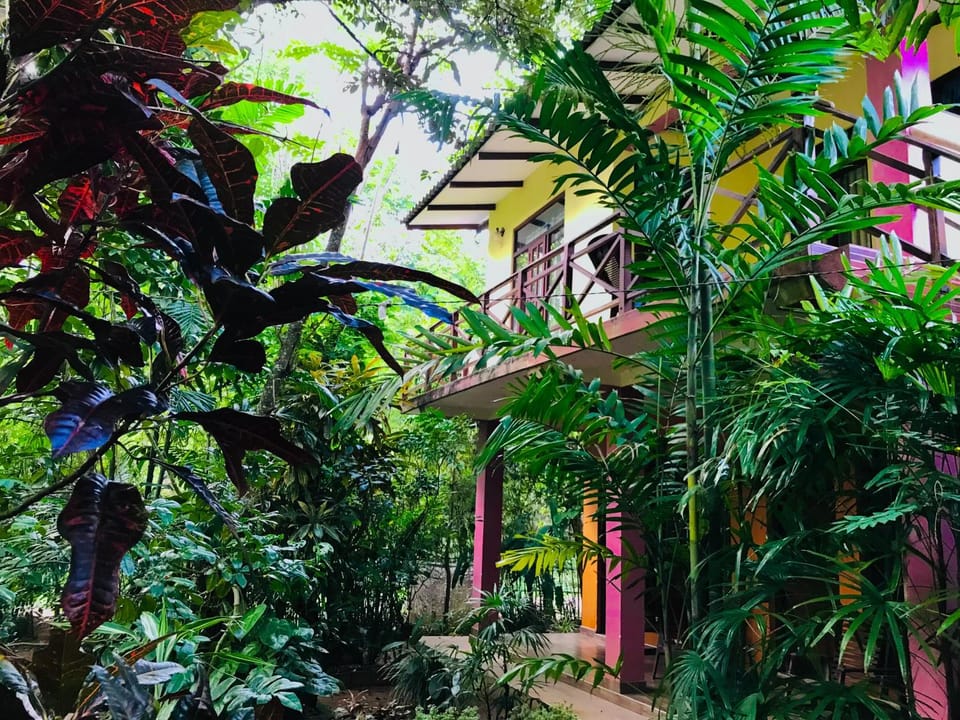 Garden view