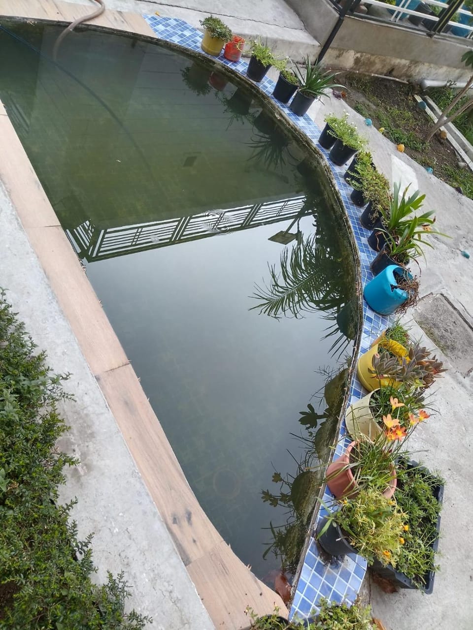 Pool view
