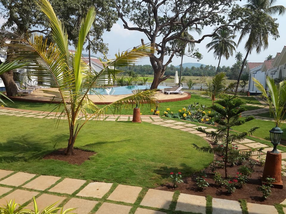 Day, Garden
