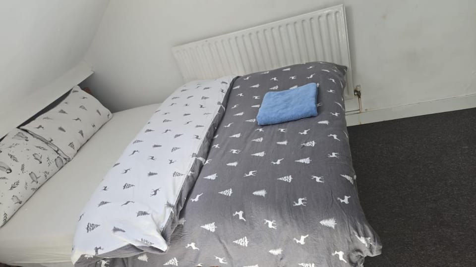 Rachel House 4 Vacation rental in Leicester