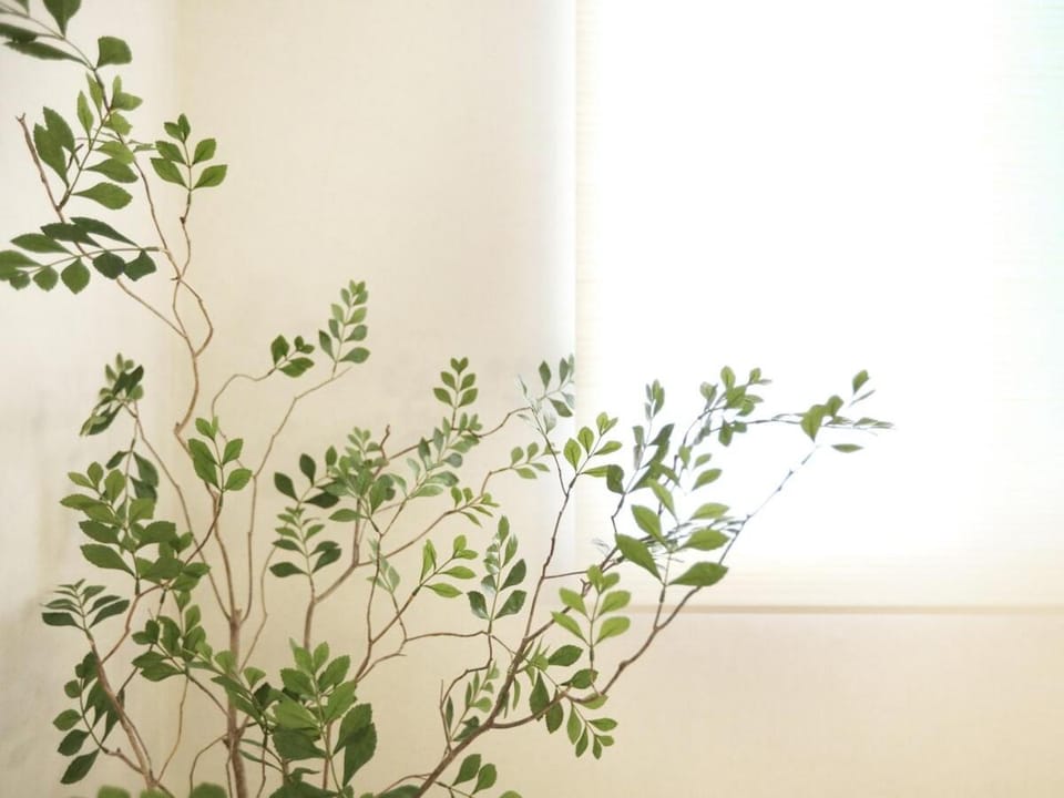 Sinchon, Hongdae in STAY MUI Apartment in Seoul